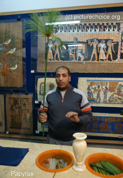 Papyrus &Auml;gypten